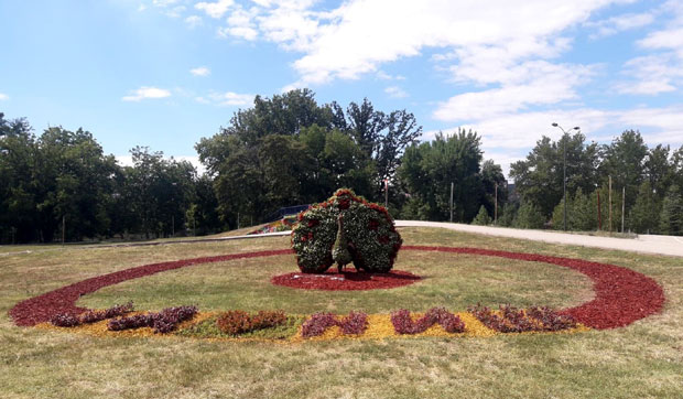 АТРАКЦИЈУ У НИШУ: Док Пуж чами, Паун се шепури